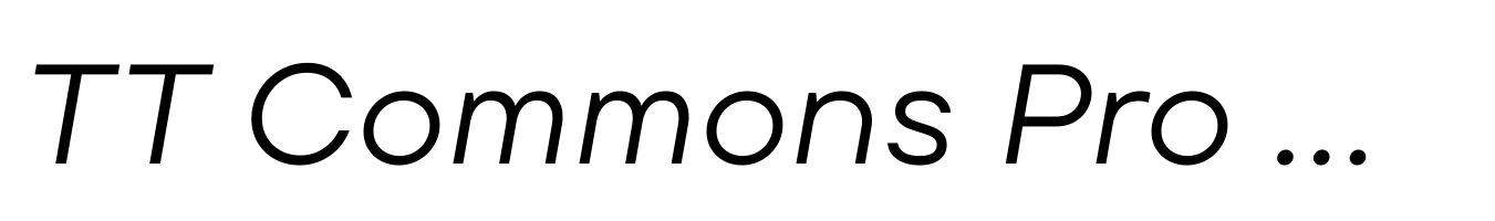 TT Commons Pro Expanded Italic